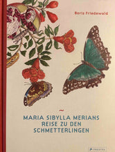 Laden Sie das Bild in den Galerie-Viewer, Maria Sibylla Merians Reise zu den Schmetterlingen