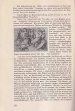Laden Sie das Bild in den Galerie-Viewer, Die Dramatik des Lichts im Werk von Matthias Grünewald