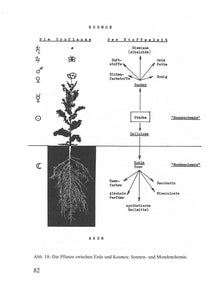Die Pflanze zwischen Erde und Kosmos