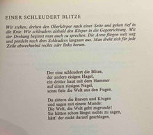 Laden Sie das Bild in den Galerie-Viewer, fliessend sprechen