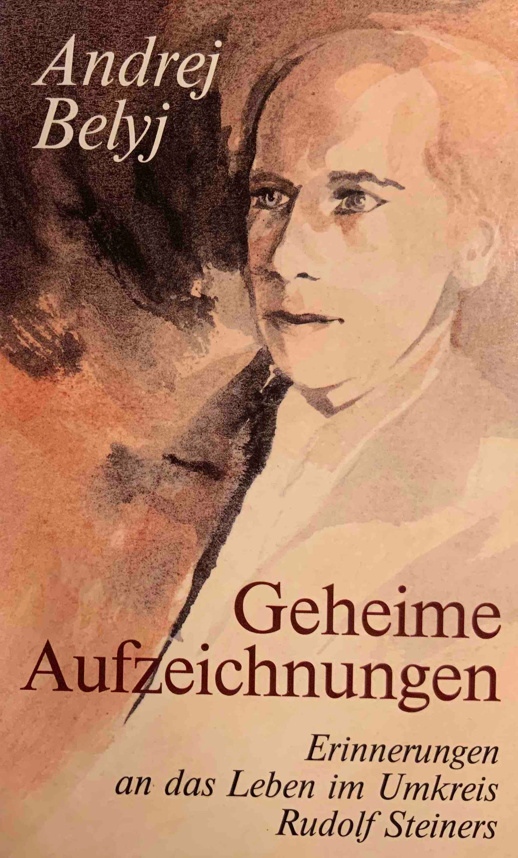 Geheime Aufzeichnungen