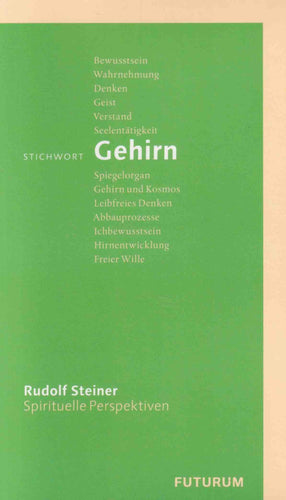 Stichwort Gehirn
