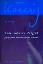 Laden Sie das Bild in den Galerie-Viewer, Geister unter dem Zeitgeist