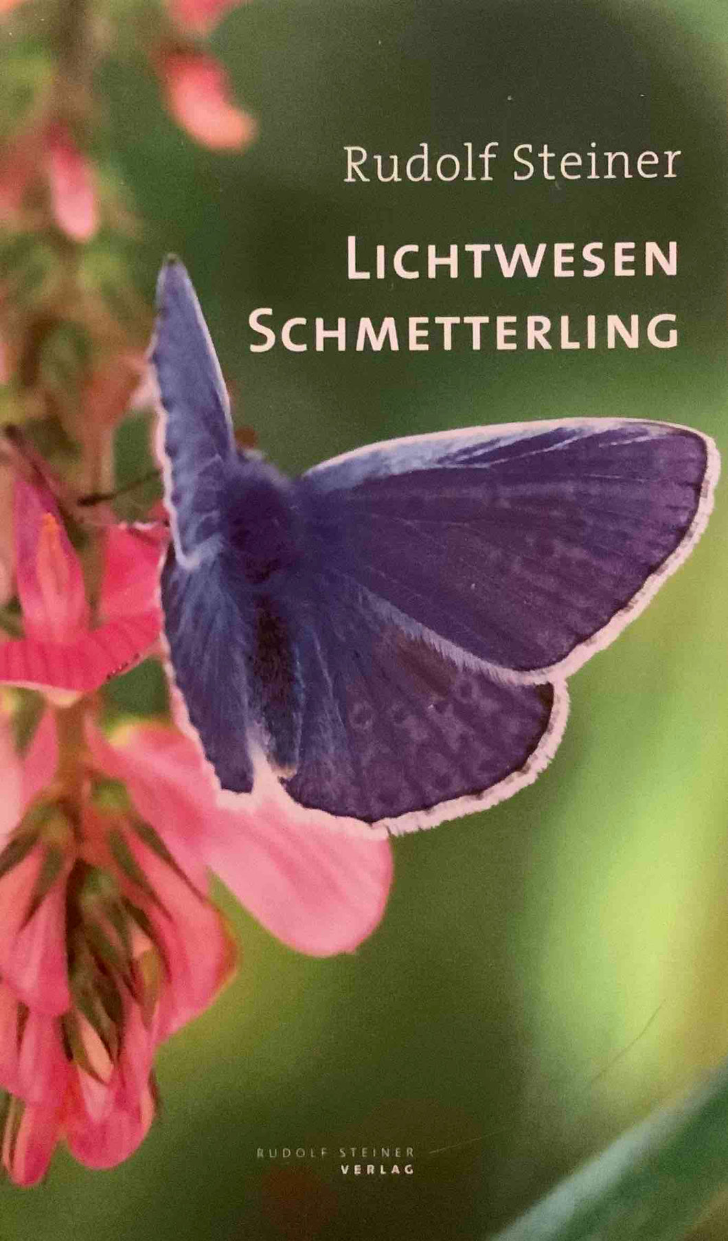 Lichtwesen Schmetterling