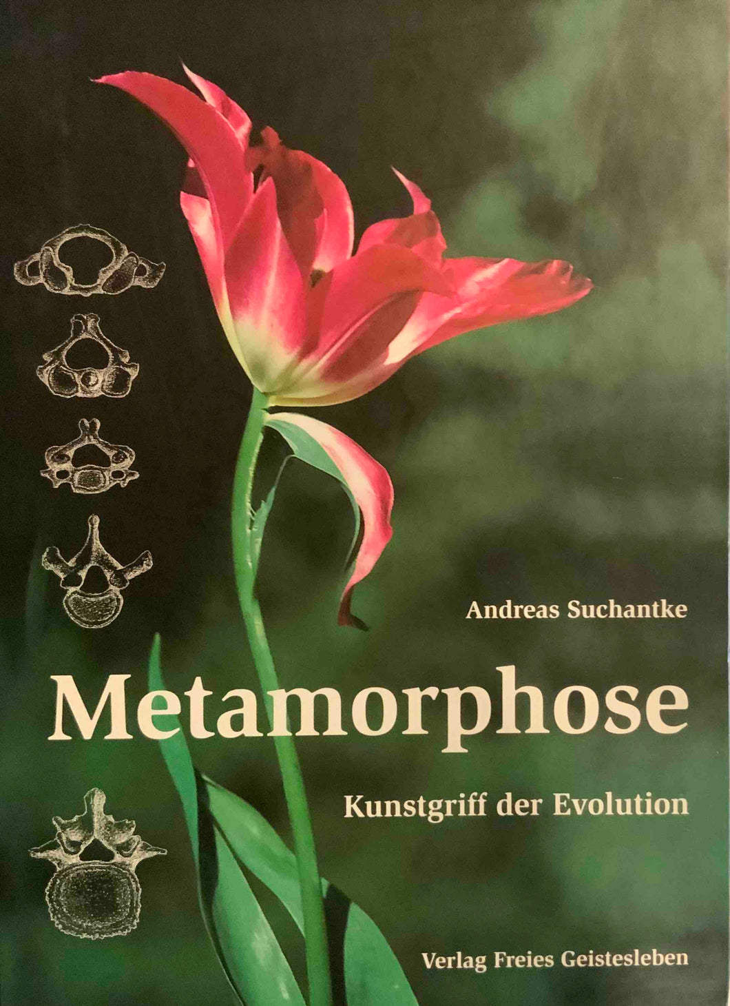 Metamorphose