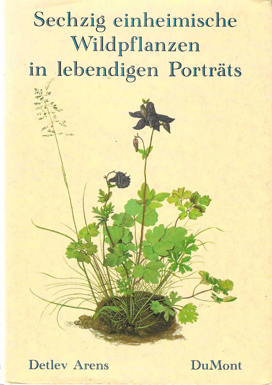 Sechzig einheimische Wildpflanzen in lebendigen Porträts