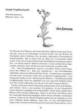 Laden Sie das Bild in den Galerie-Viewer, Sechzig einheimische Wildpflanzen in lebendigen Porträts
