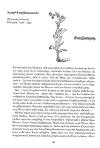 Sechzig einheimische Wildpflanzen in lebendigen Porträts