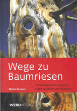 Laden Sie das Bild in den Galerie-Viewer, Wege zu Baumriesen