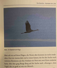 Laden Sie das Bild in den Galerie-Viewer, Wirklichkeit und Idee
