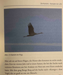 Wirklichkeit und Idee