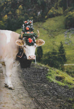 Laden Sie das Bild in den Galerie-Viewer, 26 Dinge zum Staunen in der Schweiz