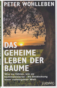 Das geheime Leben der Bäume