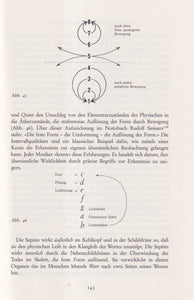 Der musikalische Bau des Menschen