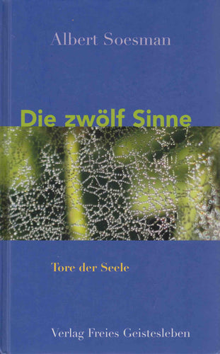 Die zwölf Sinne