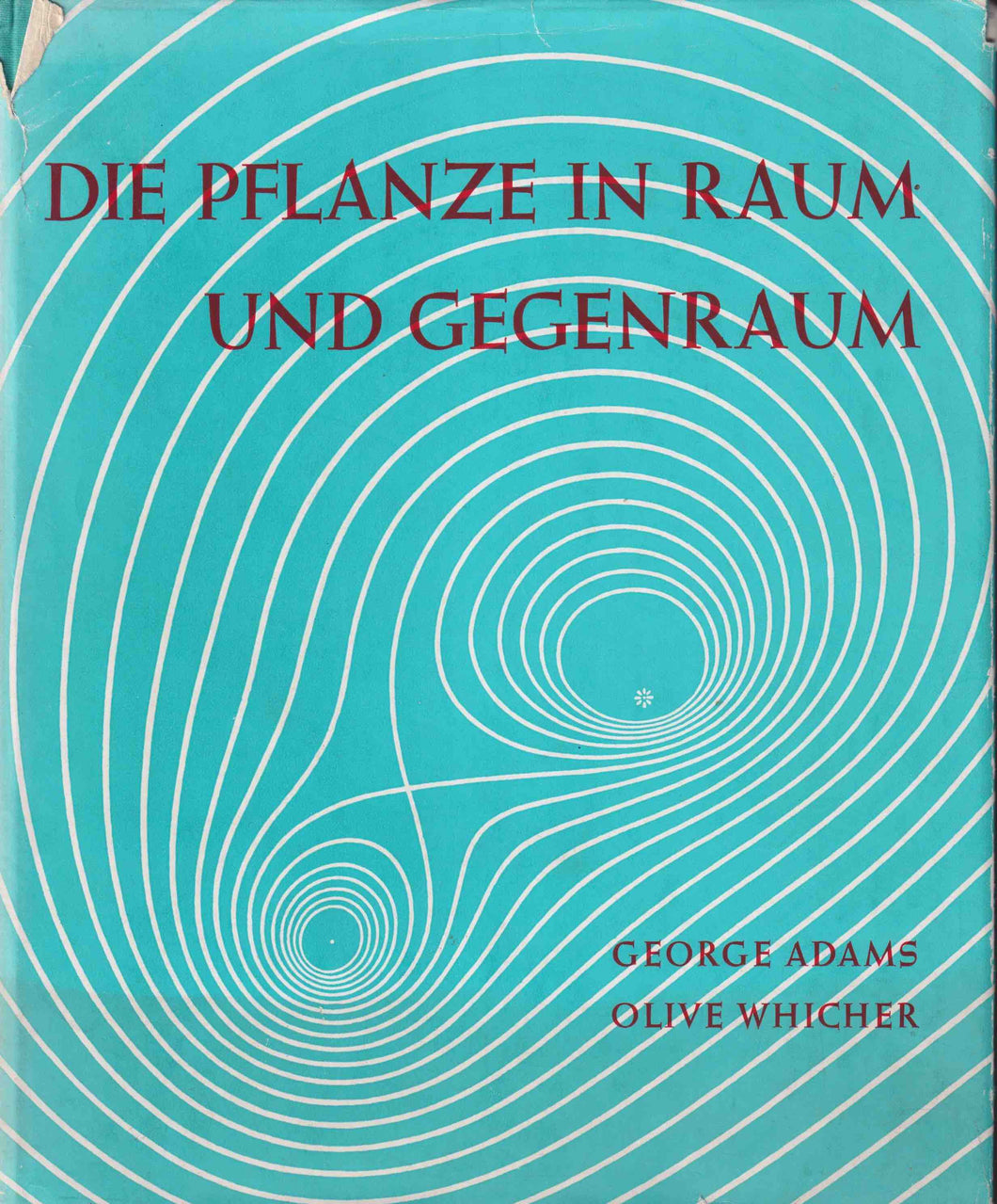 Die Pflanze in Raum und Gegenraum