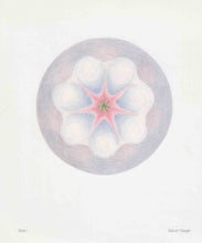 Laden Sie das Bild in den Galerie-Viewer, Die Planeten-Siegel Rudolf Steiners