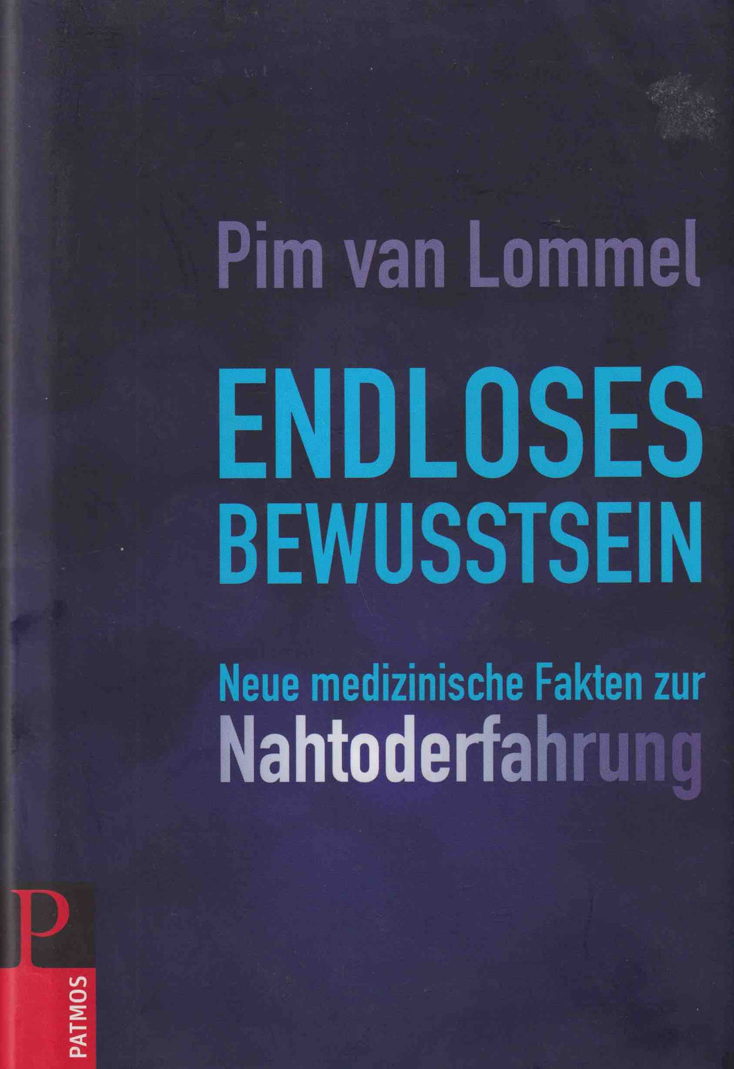 Endloses Bewusstsein