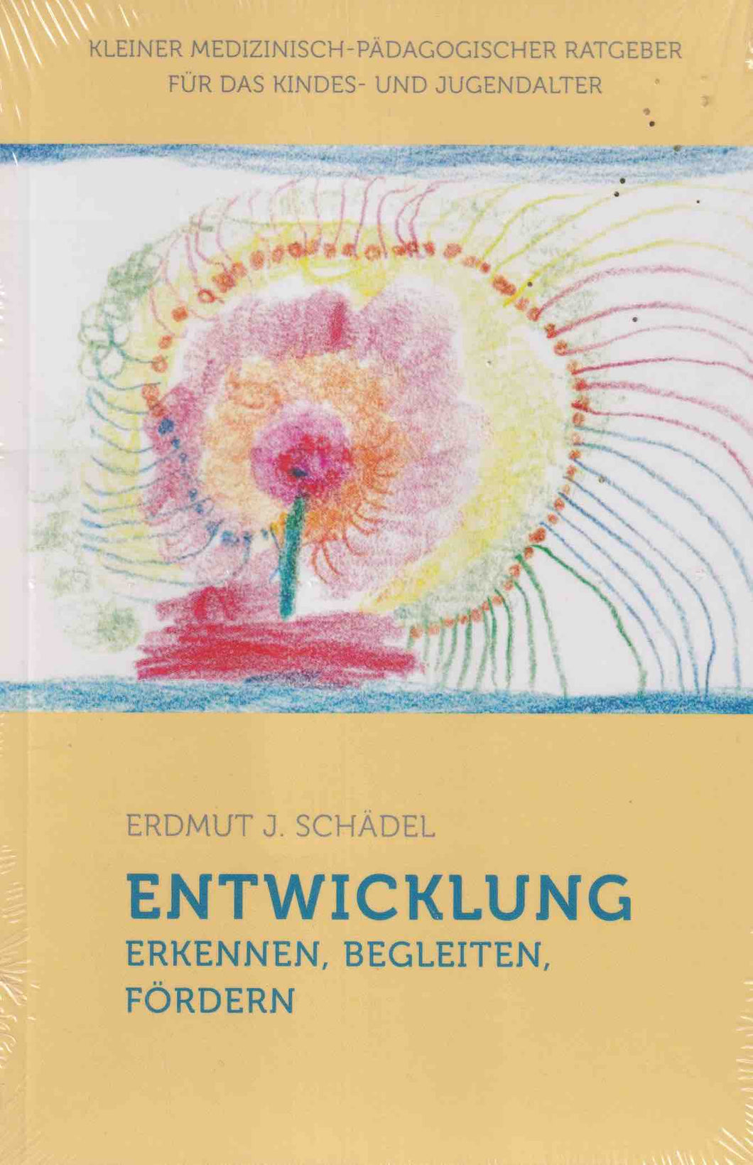 Entwicklung