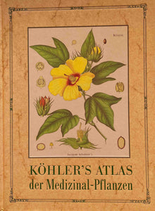 Köhler's Medizinal-Pflanzen