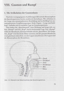 Lautlehre und Logoswirken