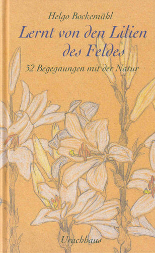 Lernt von den Lilien des Feldes