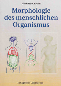 Morphologie des menschlichen Organismus