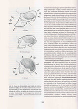 Laden Sie das Bild in den Galerie-Viewer, Morphologie des menschlichen Organismus