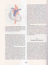 Laden Sie das Bild in den Galerie-Viewer, Morphologie des menschlichen Organismus