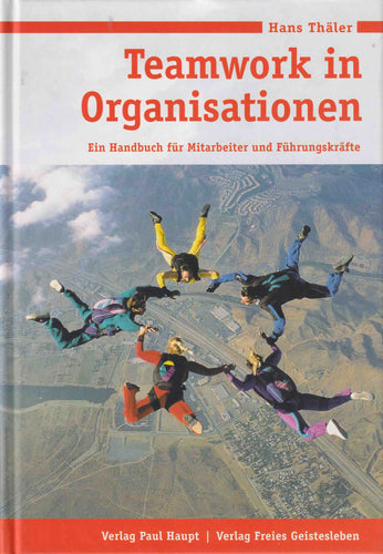 Teamwork in Organisationen